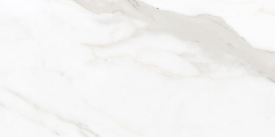 Ecstasy Pleasure 24x48 Glossy Porcelain Slab