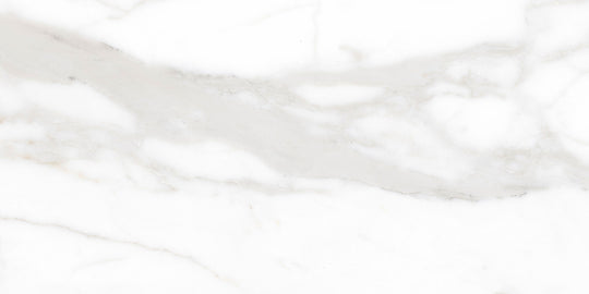 Ecstasy Pleasure 24x48 Matte Porcelain Slab