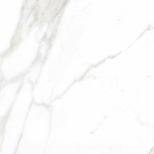 Ecstasy Pleasure 24x24 Matte Porcelain Tile