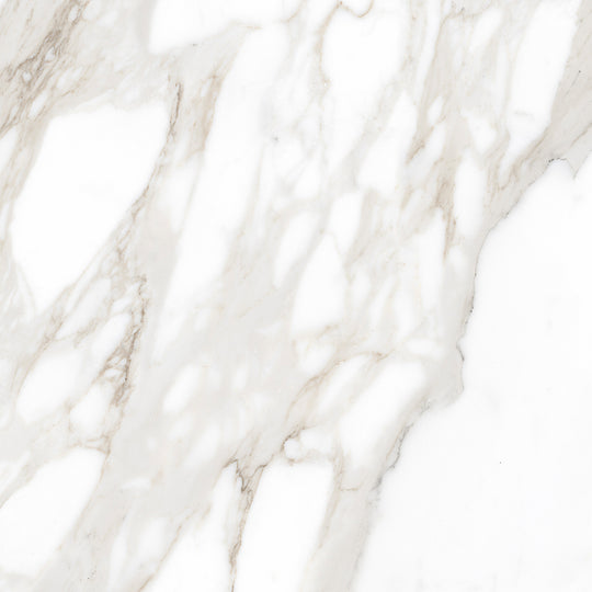 Ecstasy Pleasure 24x24 Glossy Porcelain Tile