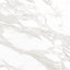 Ecstasy Pleasure 48x48 Glossy Porcelain Tile