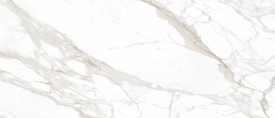 Ecstasy Pleasure 48x110 Glossy Porcelain Slab