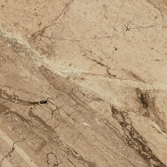 Ecstasy Joy 24x24 Matte Porcelain Tile