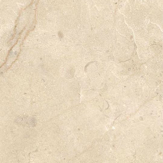 Ecstasy Paradise 48x48 Glossy Porcelain Tile