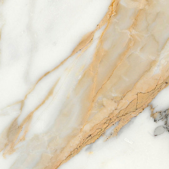 Ecstasy Thrill 24x24 Matte Porcelain Tile