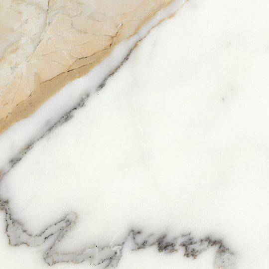 Ecstasy Thrill 30x30 Glossy Porcelain Tile