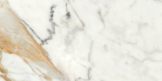 Ecstasy Thrill 30x60 Glossy Porcelain Tile