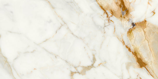 Ecstasy Thrill 30x60 Matte Porcelain Tile