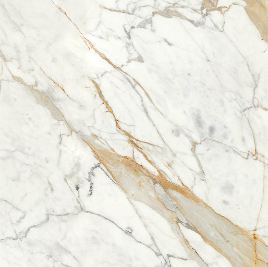 Ecstasy Thrill 48x48 Glossy Porcelain Tile