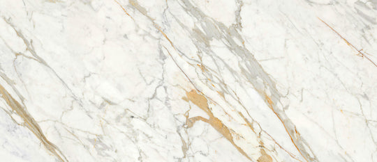 Ecstasy Thrill 48x110 Glossy Porcelain Slab