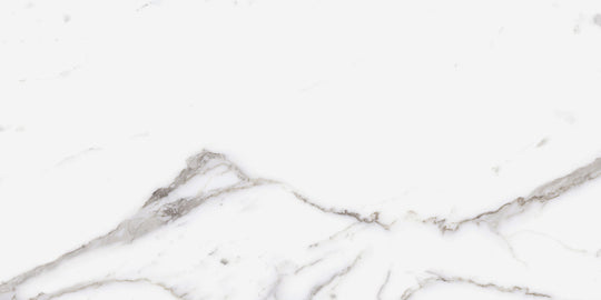 Ecstasy Zeal 24x48 Matte Porcelain Slab