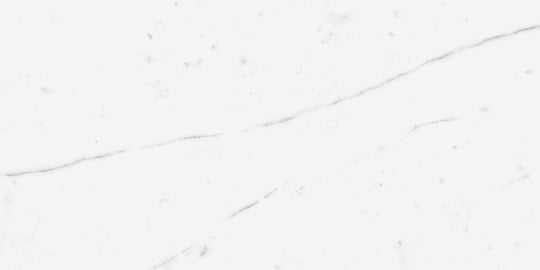 Ecstasy Zeal 30x60 Matte Porcelain Tile