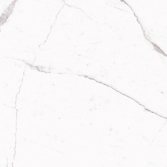 Ecstasy Zeal 48x48 Matte Porcelain Tile