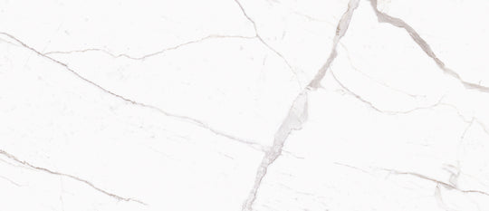 Ecstasy Zeal 48x110 Matte Porcelain Slab