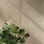 Eterea Naturale Millerghe 24x48 (3D)