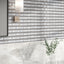 Frey Façade Palma Samson 2x5 Glass Mosaic