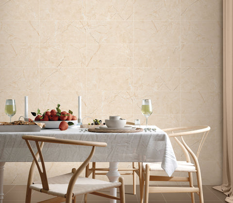 Harmonic Andante 12x24 Stellata Porcelain Tile