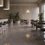 Harmonic Capella 2x2 Polished Hex Mosaic