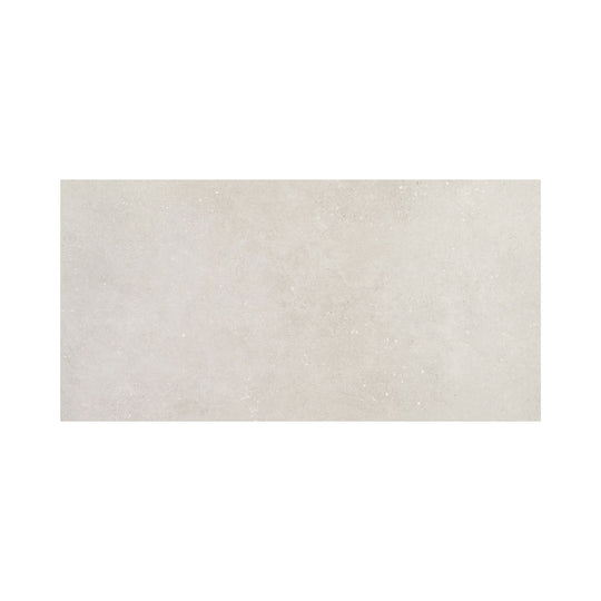 Mixtone Grey 24x48
