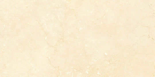 Noble Antico 12x12 Natural Tile