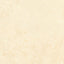 Noble Antico 12x12 Polished Tile
