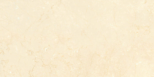 Noble Antico 12x12 Polished Tile