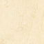 Noble Antico 12x24 Polished Tile