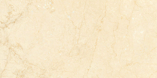 Noble Antico 12x24 Polished Tile
