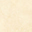 Noble Antico 24x24 Polished Tile