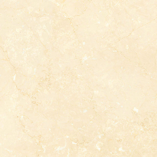 Noble Antico 24x24 Polished Tile