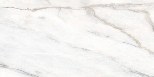 Noble Pallido 24x48 Natural Tile