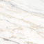 Noble Pallido 24x48 Polished Tile