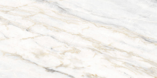 Noble Pallido 24x48 Polished Tile