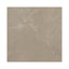 Renaissance Amani Bronze 12x12 Polished