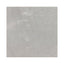 Renaissance Amani Grey 12x12 Polished