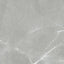 Renaissance Amani Grey 12x24 Polished