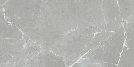 Renaissance Amani Grey 12x24 Polished