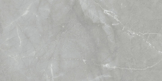 Renaissance Amani Grey 12x24 Matte