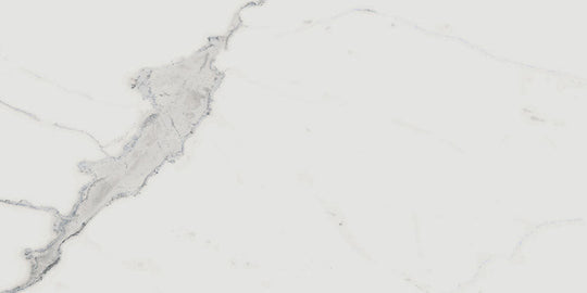 Renaissance Calacatta 12x24 Polished