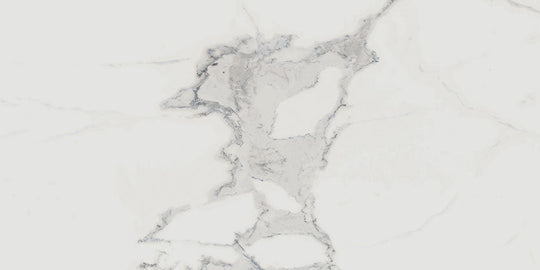 Renaissance Calacatta 12x24 Matte