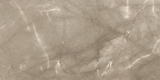 Renaissance Amani Bronze 12x24 Polished