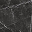 Renaissance Nero Marquina 12x24 Matte