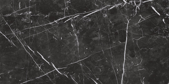 Renaissance Nero Marquina 12x24 Matte