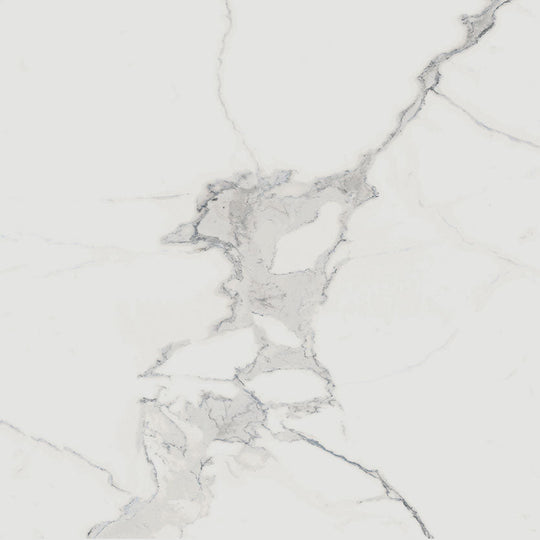 Renaissance Calacatta 24x24 Matte