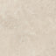 Renaissance Marfil 24x24 Matte