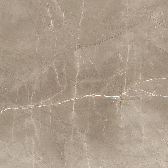 Renaissance Amani Bronze 24x24 Polished