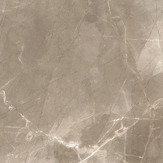 Renaissance Amani Bronze 24x24 Matte