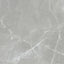 Renaissance Amani Grey 24x24 Polished