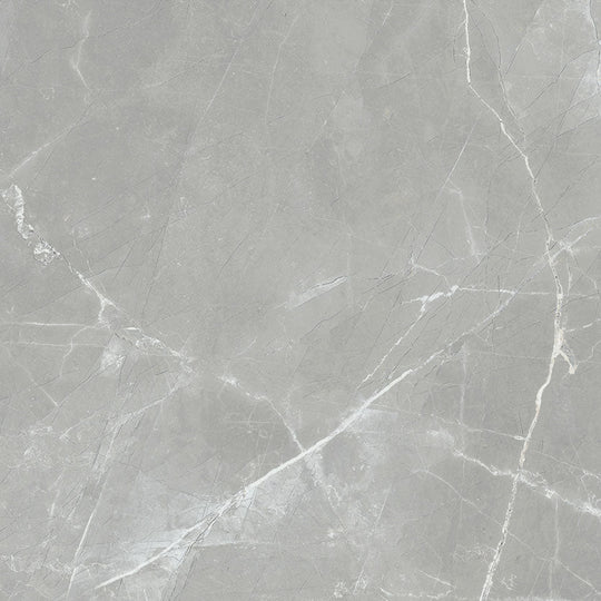 Renaissance Amani Grey 24x24 Polished