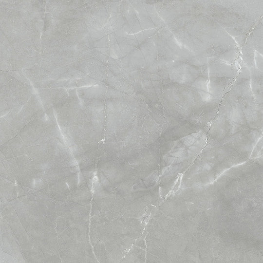 Renaissance Amani Grey 24x24 Matte